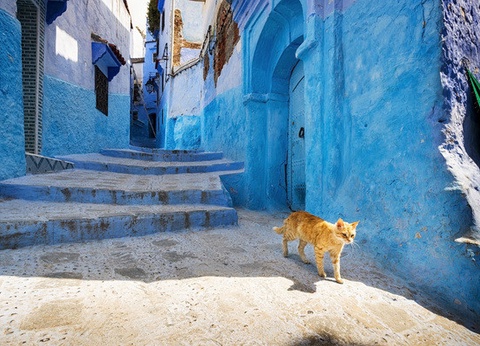 Circuit Bleu de Chefchaouen et cascades d'Akchour - 6