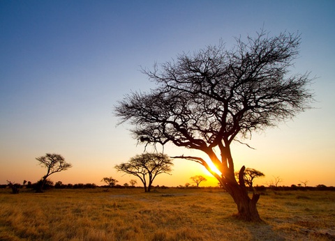 Circuit A la découverte de l'Afrique du Sud - 4