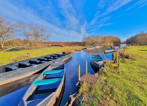 Camping La Roseraie, 4* - 84