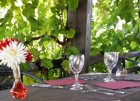 Séjour gourmand au coeur de la nature de l'Occitanie - 2* - 18