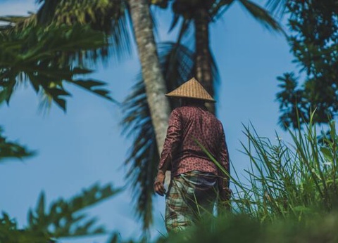 Circuit Joyaux de Bali et Munduk - 6