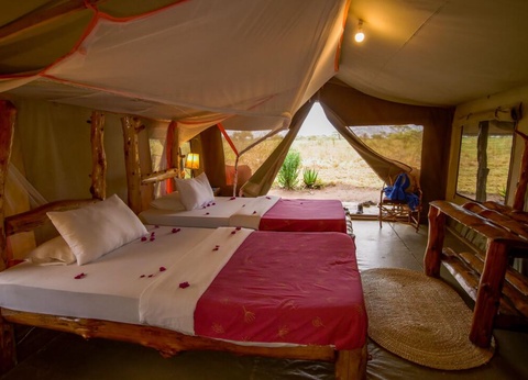 Safari Privatif - Aventure Tanzanienne - 30