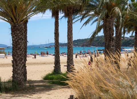 Camping Parc de Bormes 3* - 2