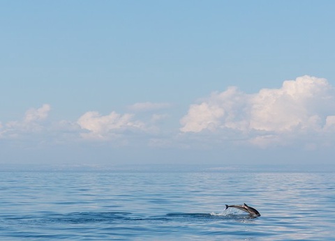 Autotour Les Pouilles en Liberté 3* - 13