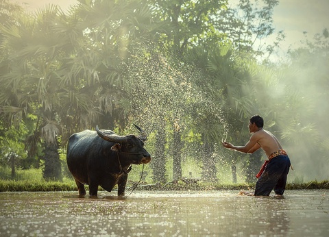 Circuit Ancestral Cambodge - 14