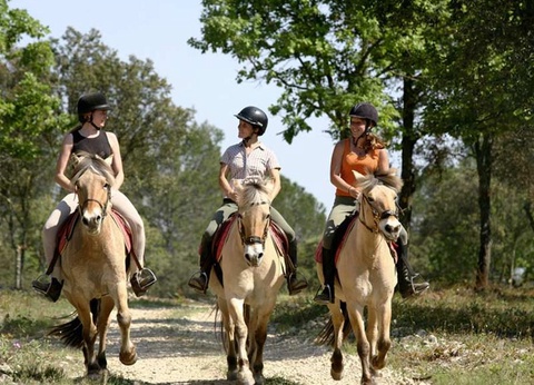 Camping Le Mas Fleuri, 2* - 11