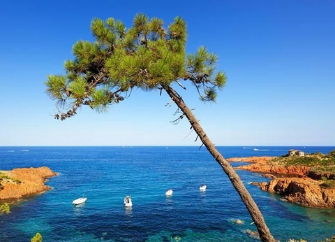 Camping La Provençale, 4* - 41