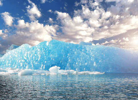 Circuit Tango, Pampa et Terre de Feu - 8