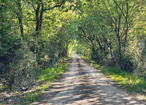 Damona Lodges, 3* - 14