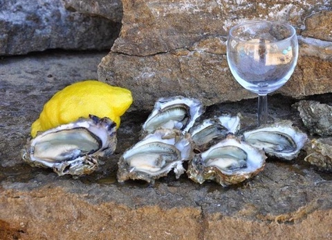 Camping Parfums d'Eté 4* - 69