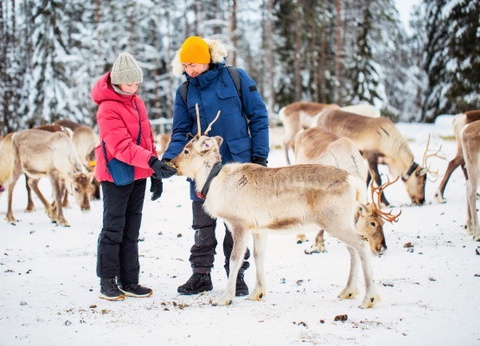 Club Jumbo Tankavaara Gold Village (activités incluses) - 7
