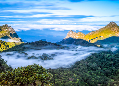 Circuit Des Capitales du Siam à MyClub Dolphin Bay Resort 3/4* **OPN Carrefour** - 9