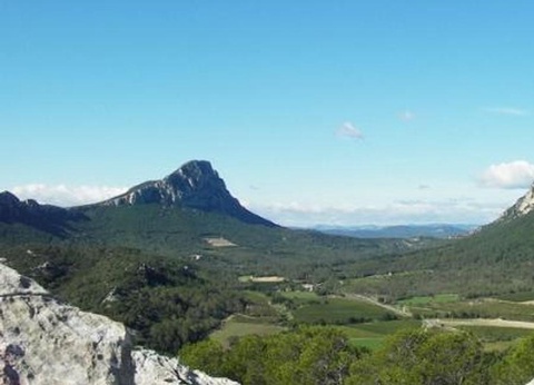 Camping le Domaine de Gajan, 4* - 45