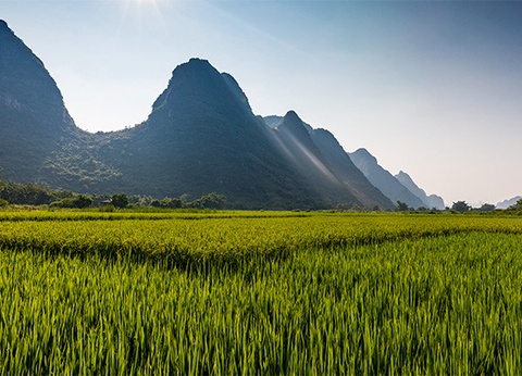 Circuit Panorama de Chine et montagnes d'Avatar *** - 13