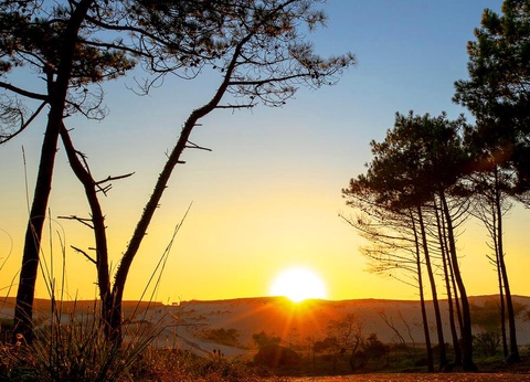 Camping Le Vieux Port, 5* - 90