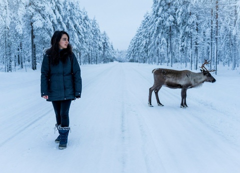 Circuit Essentiel de Laponie - 9