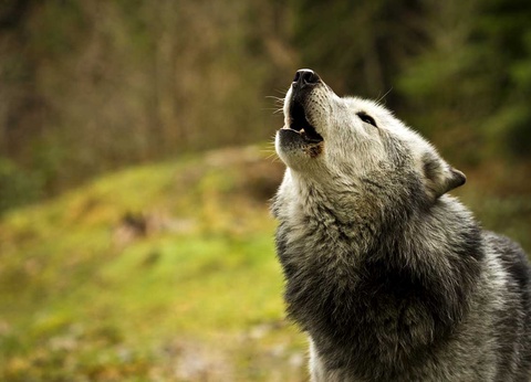 Circuit Grand Tour du Canada - 15