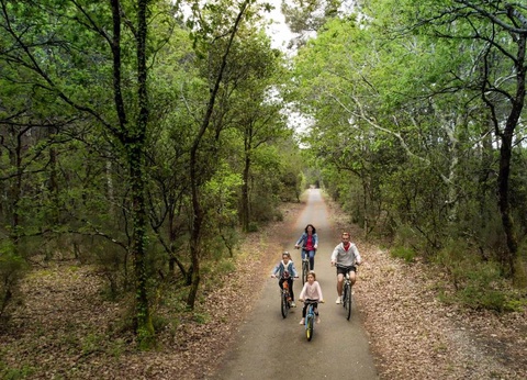 VVF Villages - Le Cap Ferret - Lège-Cap-Ferret, 4* - 20