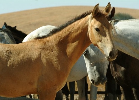 Circuit toute l'Andalousie 4* - 12