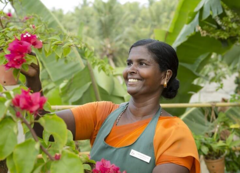 Séjours Ayurveda - Somatheeram Ayurveda Village - 5