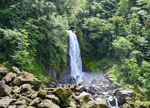 Croisière Cocktail Nature aux Antilles ***** - 17