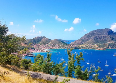 Circuit Antilles Immersion en terres créoles - 8