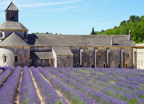 Camping Le Luberon | Pausado, 4* - 29