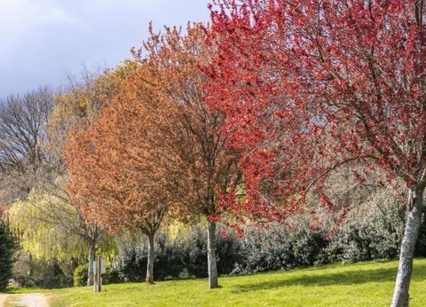 Camping De Locouarn - 14