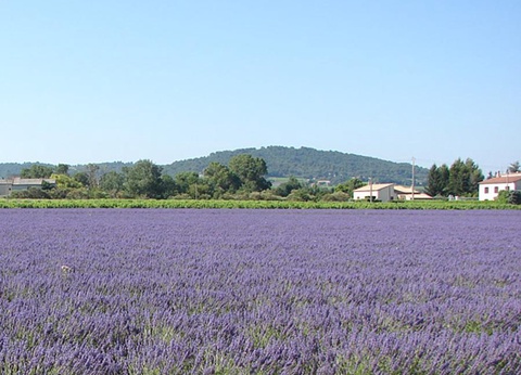 Camping les Terrasses Provençales, 4* - 21