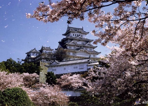 Circuit Grande découverte du Japon - 22
