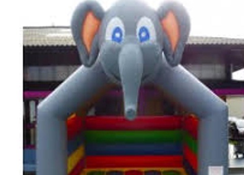 Camping les Etangs du Plessac 4* - 29