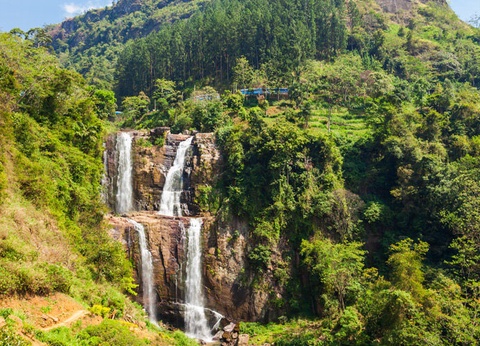 Circuit Découvertes Sri lankaises et extension Kappa Club Anantaya 5* - 12