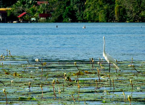 Circuit Chemins Sacrés du Guatemala et du Pacifique - 20