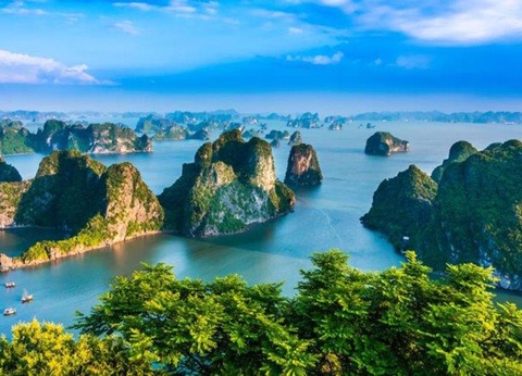 Circuit Mosaïque de cultures - 18