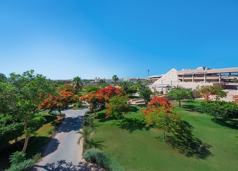 Hôtel Pharaoh Azur Grand Resort 4* - 33