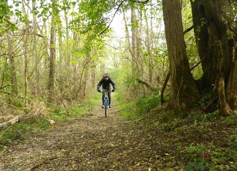 Camping le Bourdieu, 3* - 37