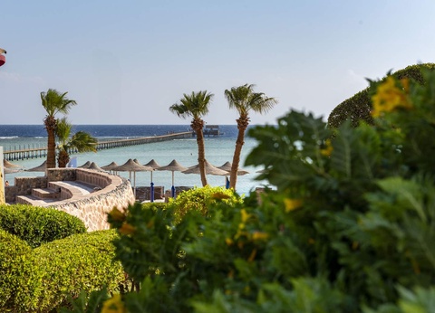 Combiné Splendeurs du Nil et Club Blue Reef Resort 4* Marsa Alam - 8