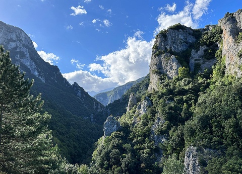 AUTOTOUR CORFOU IOANNINA DELPHES & LES METEORES - 4
