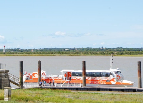 Flower Camping L'Abri-Côtier, 3* - 208