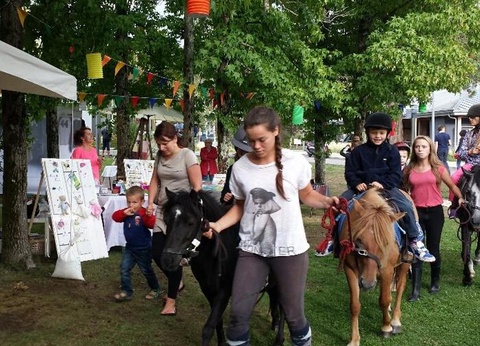 Camping Nantes Camping, 5* - 35