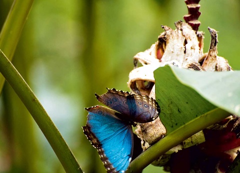 Circuit Costa Rica Nature - 9