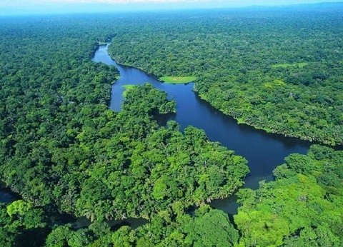 Circuit Beautés du Costa Rica et extension Puntarenas - 10