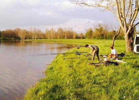 Camping Les Rulières, 3* - 8