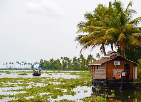 Circuit Douceurs de l'Inde du sud - 8