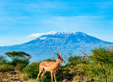 Circuit Lumières de la Savane Africaine - 5