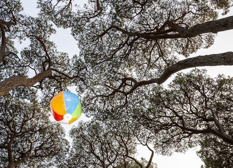 Hu Park Albatros Village, 4* - 124