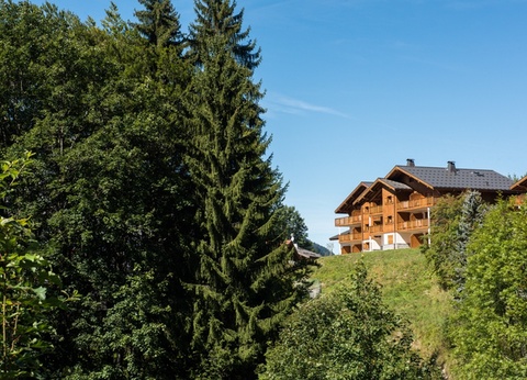 Résidence CGH & SPA Résidence Boutique Les Chalets de Leana 5* - 4