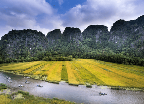 Circuit Lotus du Vietnam en mini groupe - 10
