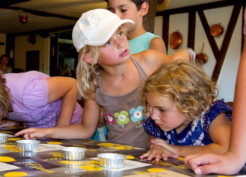 Camping le Bourdieu, 3* - 17