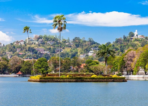 Circuit Balade Sri Lankaise privative et Oclub Experience Pandanus beach resort Spa 5* - 4